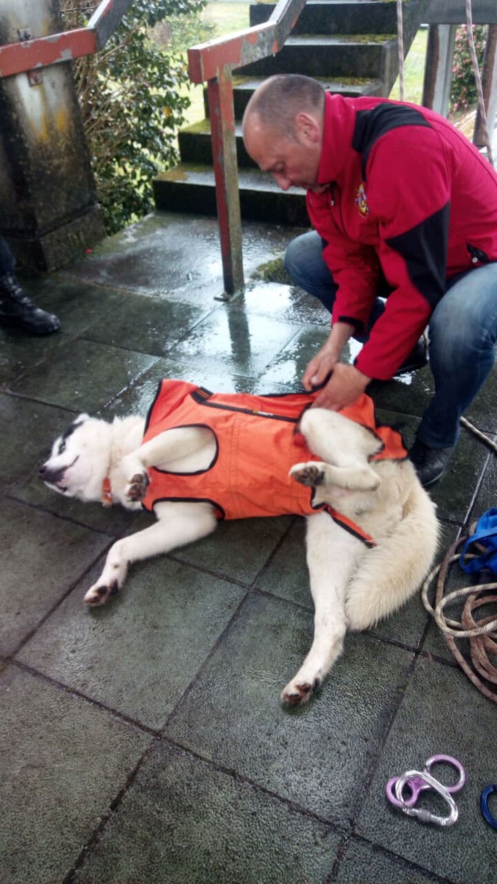 Clínica Veterinaria Miño