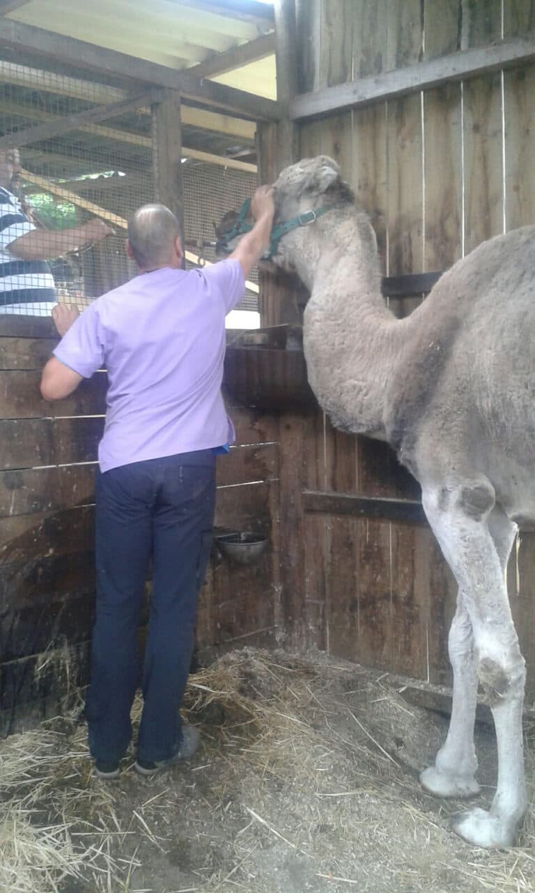 Clínica Veterinaria Miño