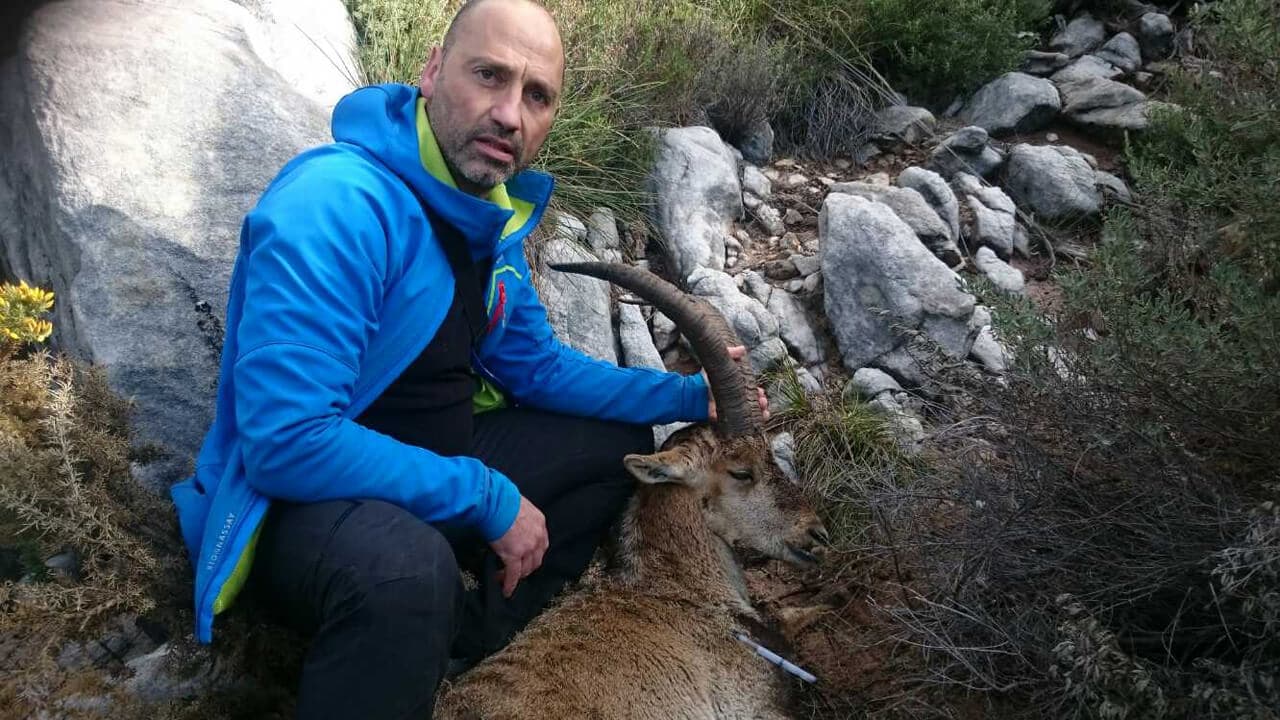 Clínica Veterinaria Miño